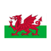 Camping / Festival Flag 3ft x 5ft - Various designs Welsh flag