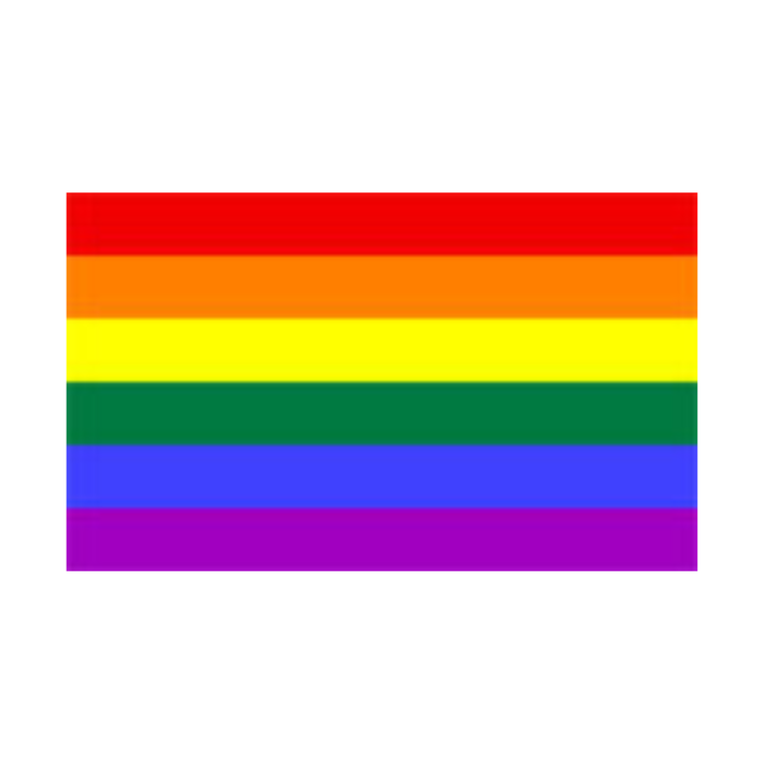 Camping / Festival Flag 3ft x 5ft - Various designs - Gay pride flag